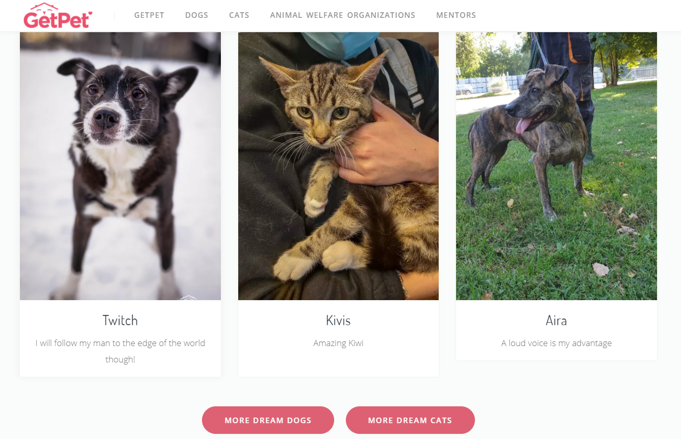 Tinder for pets in 2021