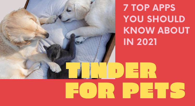 Tinder for pets