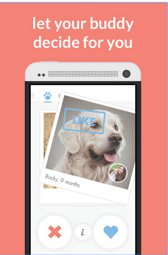 Tinder For Pets: 6 top apps you should know about in 2018
