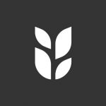 Grain food app