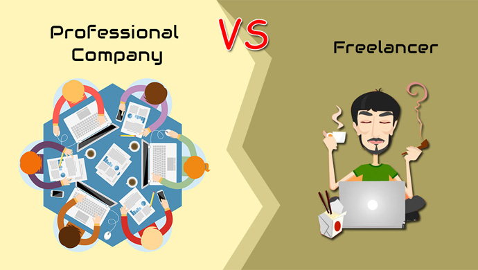 Freelancers Vs Professional Company