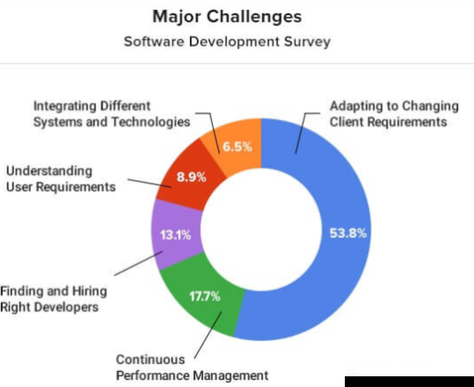 Major Challenges in Custom Software Development