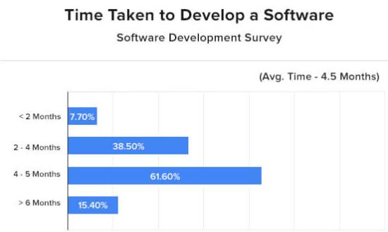 Custom Software Development