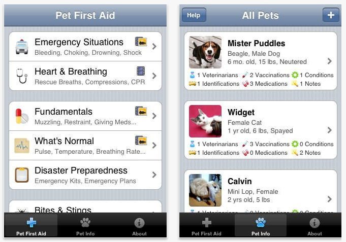 Pet First Aid