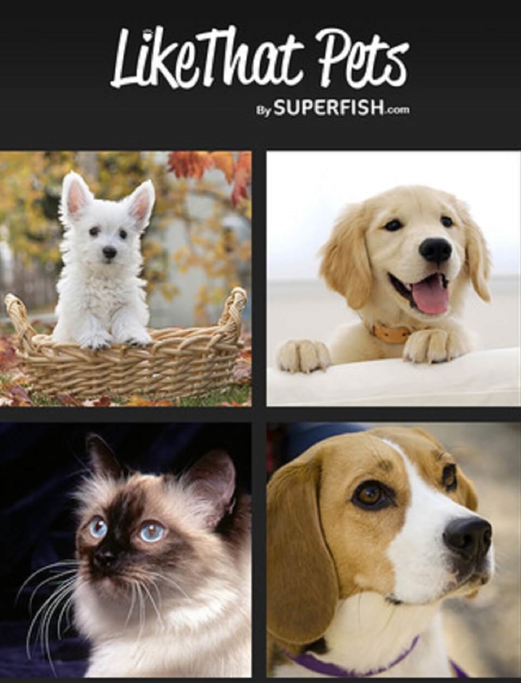 pet adoption app