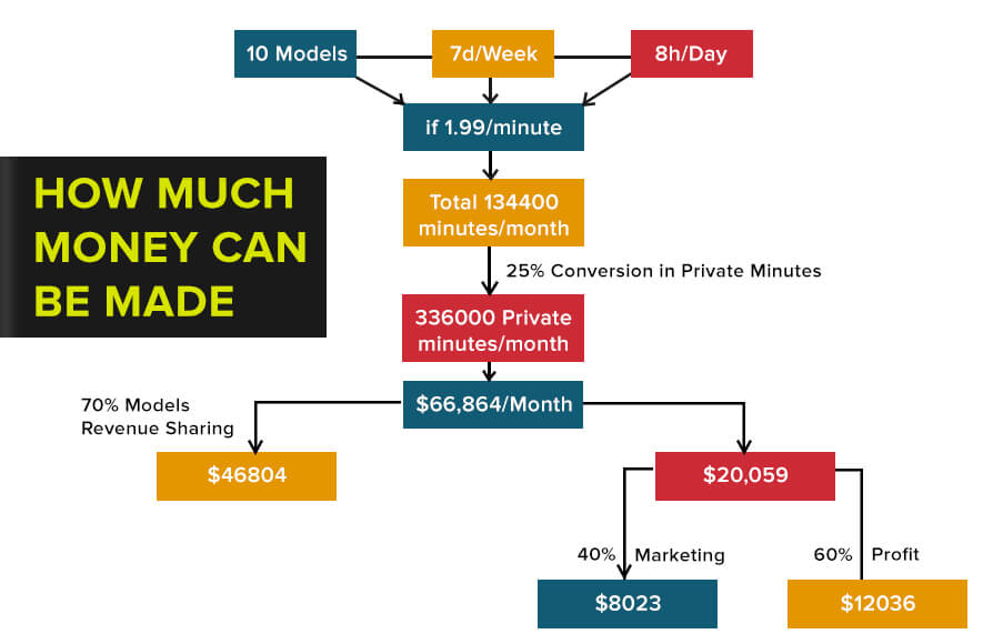 Online Cam Girls money made from a webcam business