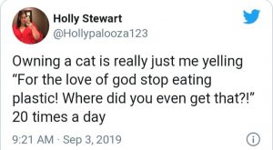 Tweet about cat food