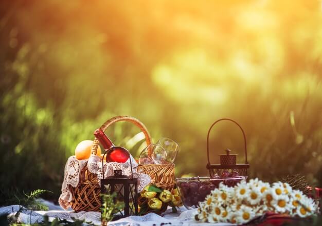 picnic food basket