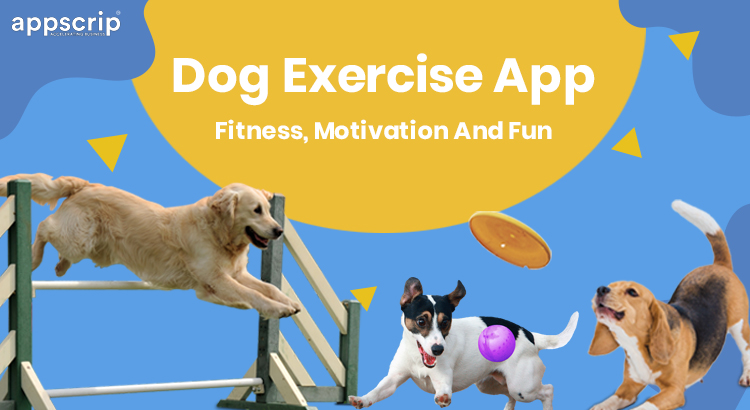 dog exercise app