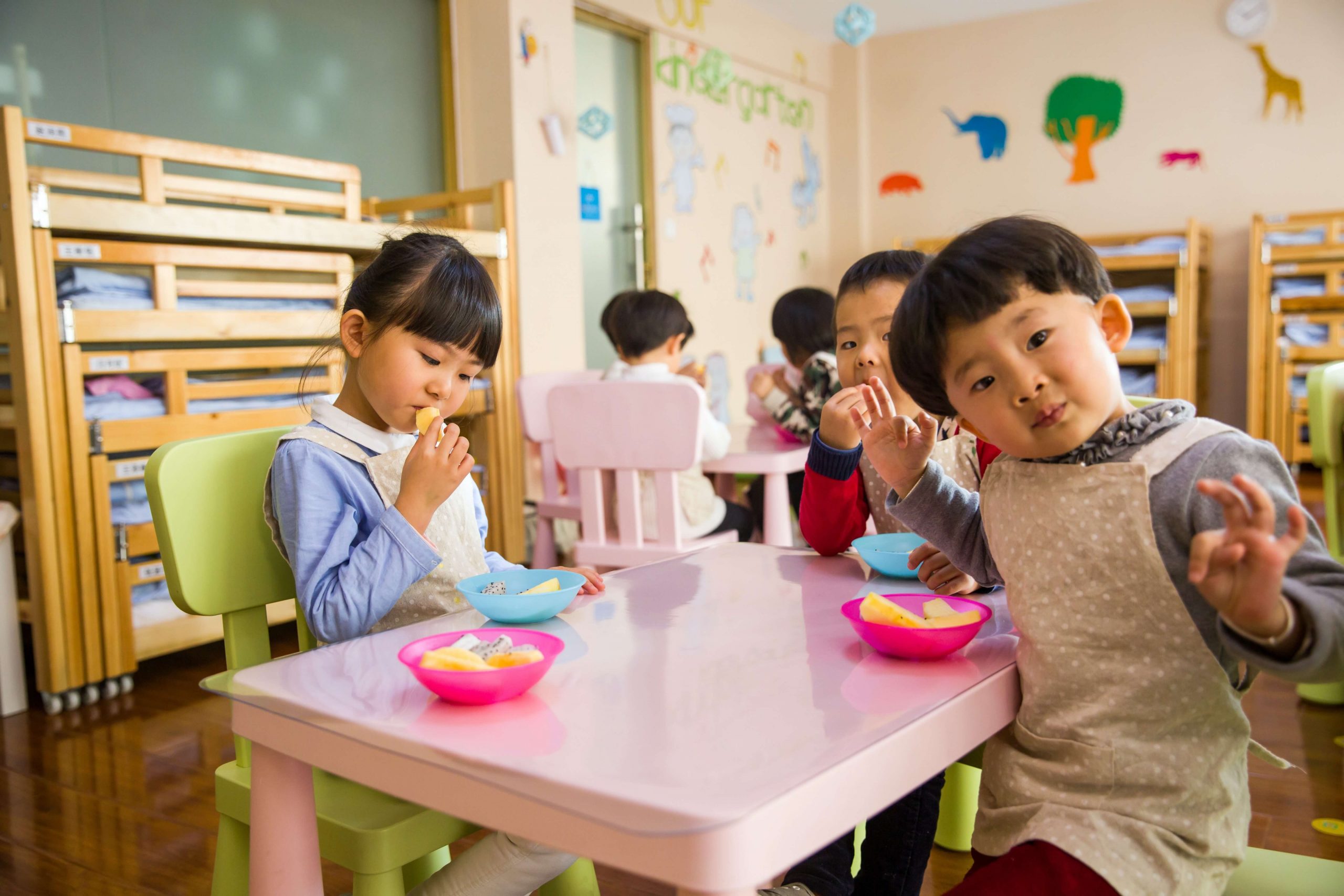 school lunch delivery