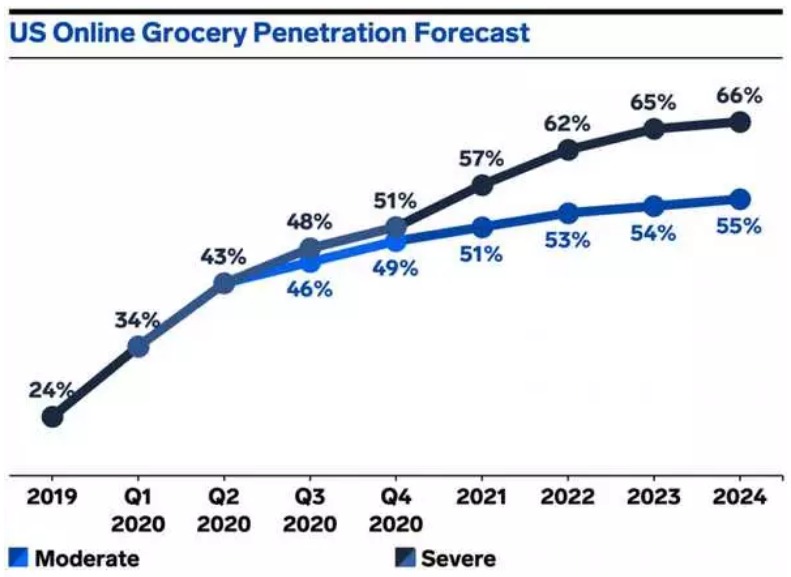 Online grocery delivery business