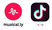 How To Make Money On TikTok: A Guide To Paved Popularity Path