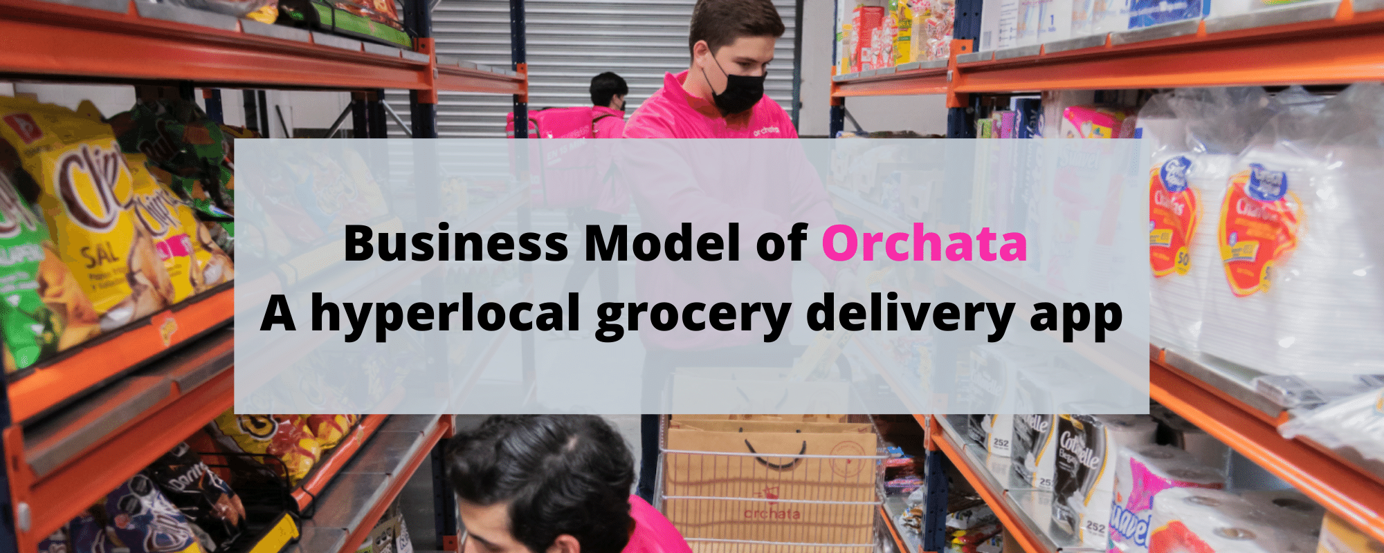 Business Model of Orchata
