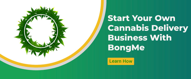 start a cannabis delivery business in the US