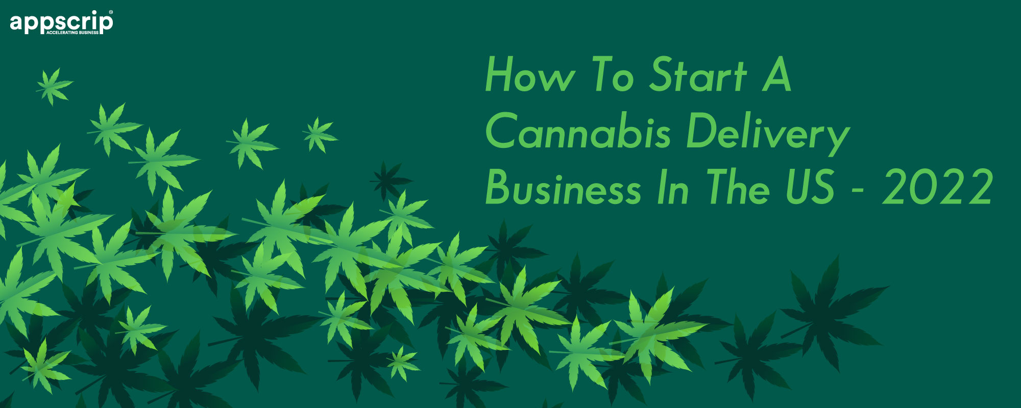 How to start a cannabis delivery business in the US 2022