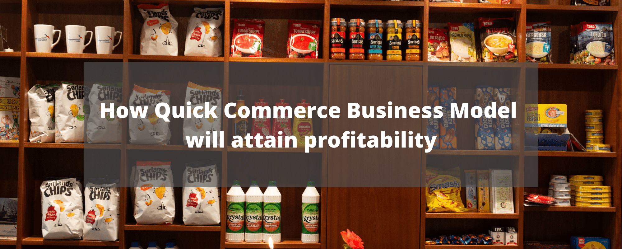 Quick Commerce Business Model