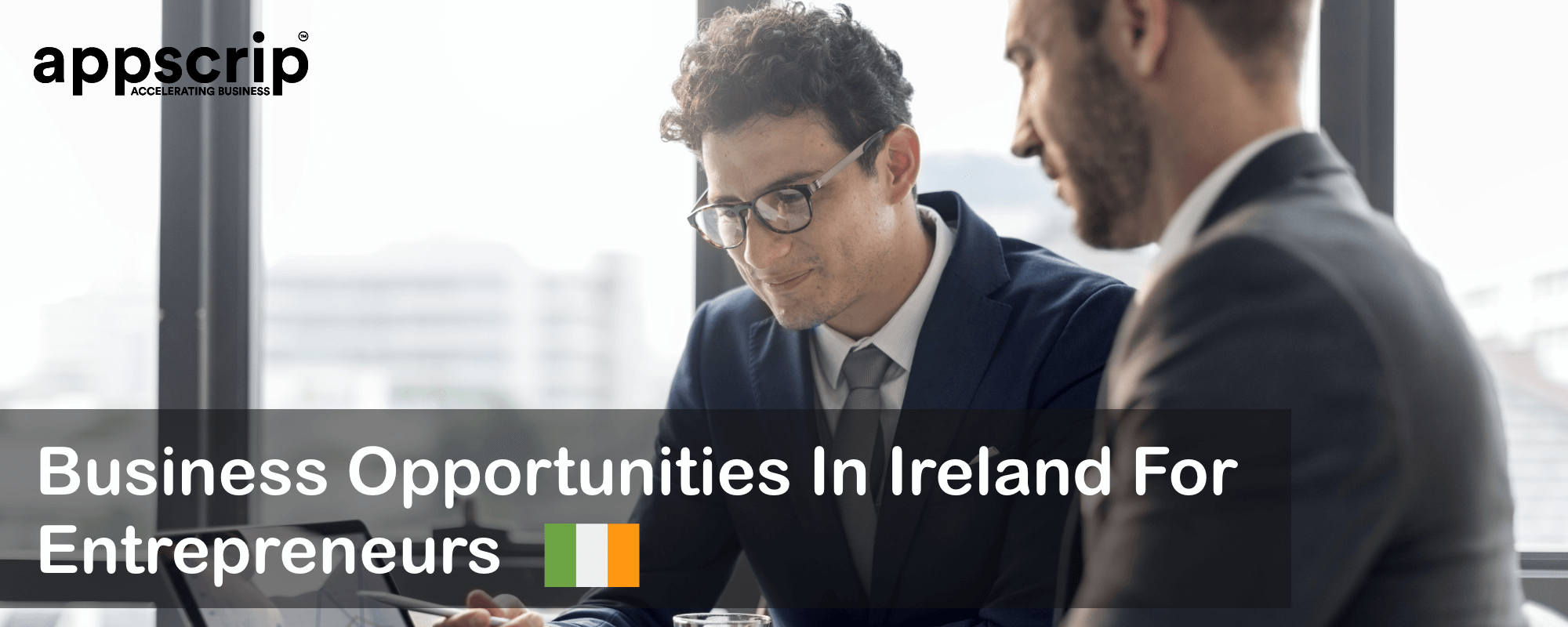 Business Opportunities In Ireland