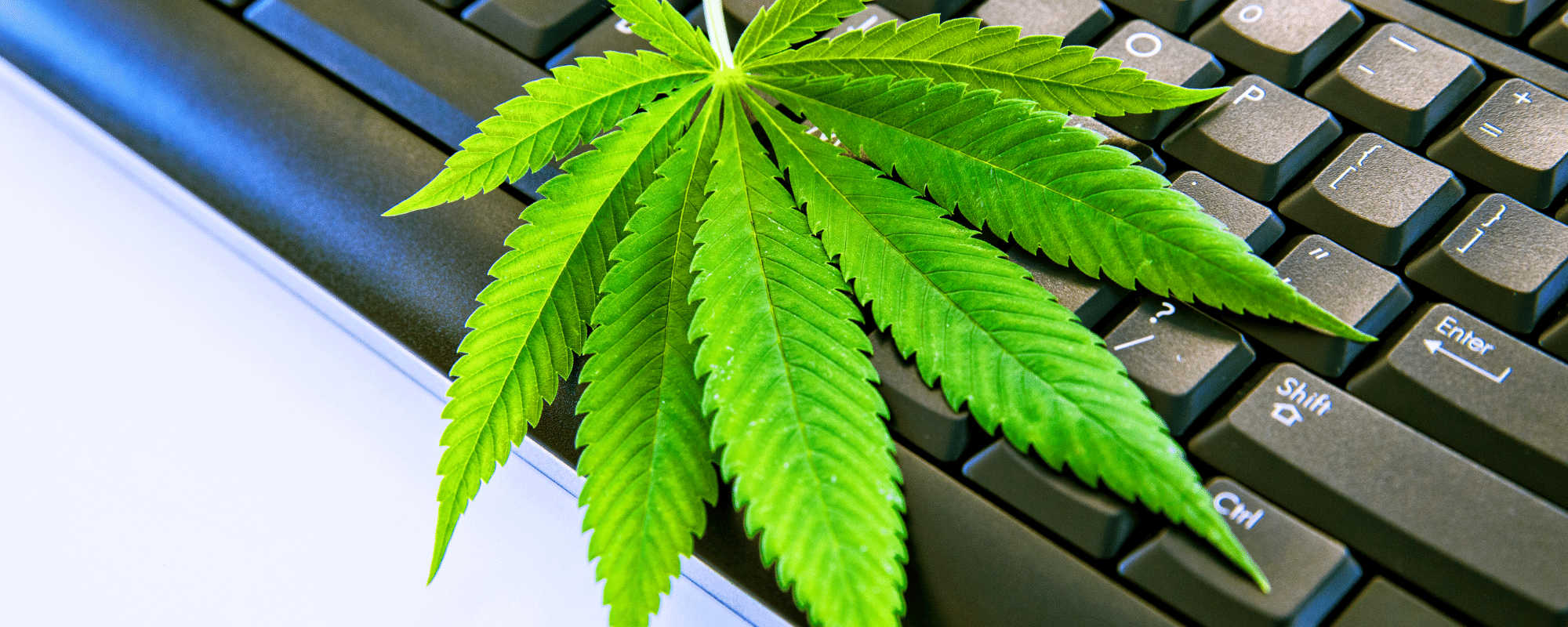 is marijuana legal in the netherlands