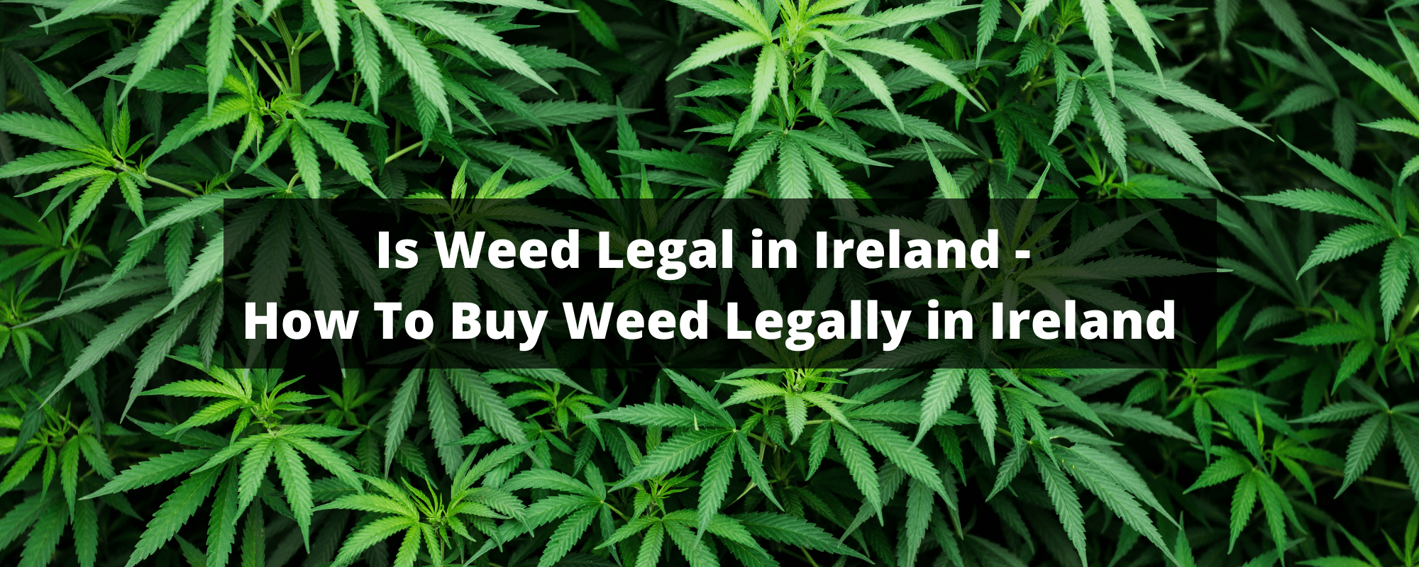 is weed legal in ireland