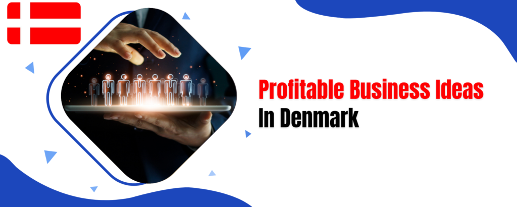 business ideas in denmark