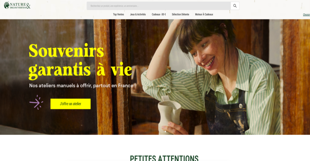 best ecommerce websites in france