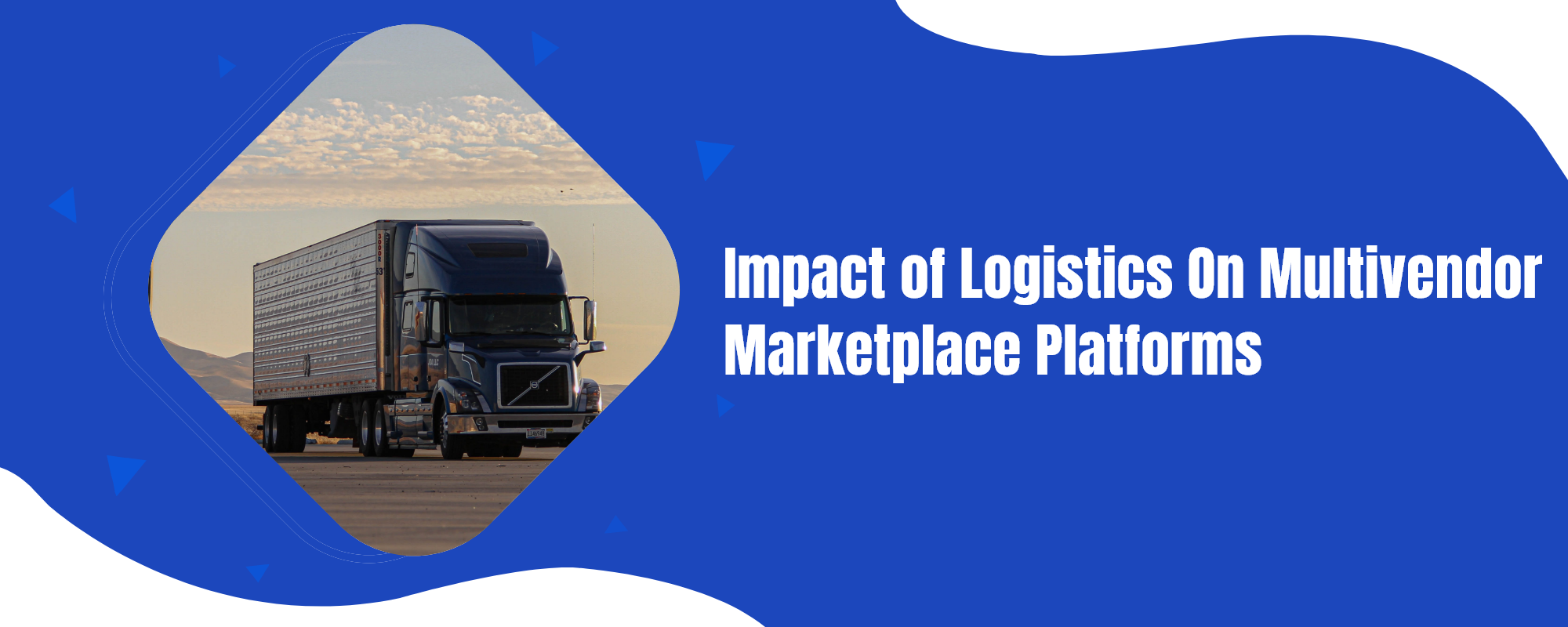 Impact of logistics on multivendor marketplace platforms
