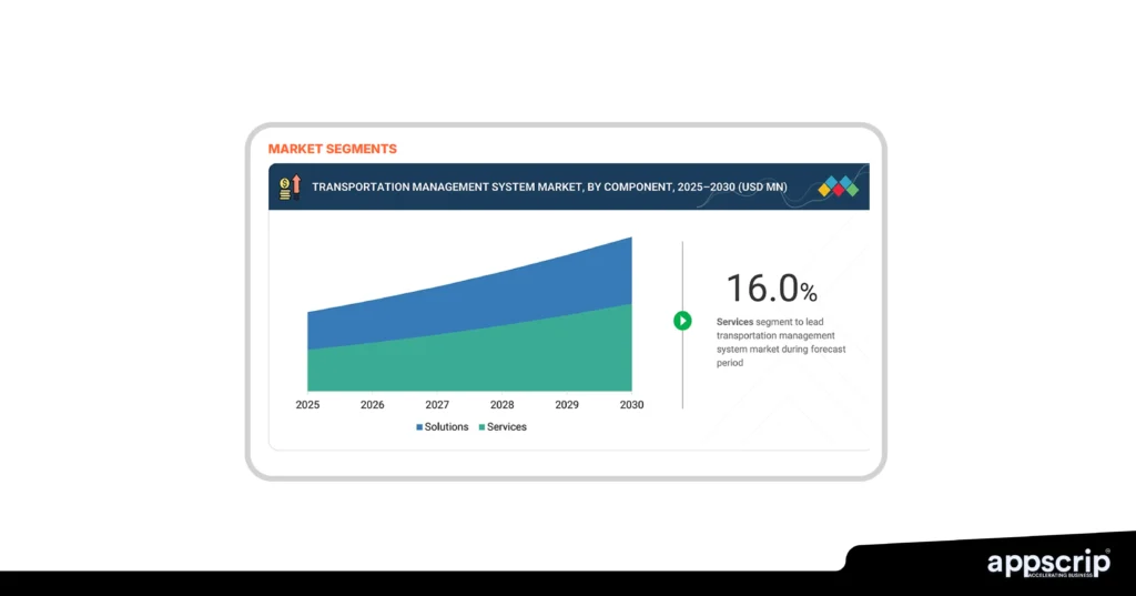Transportation Management System Development - market segments
