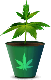 greenrush app clone GreenRush App Clone - Build An Amazon For Cannabis Delivery