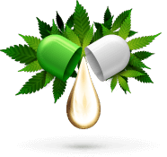 leafly app clone Leafly App Clone - Build An Award Winning Cannabis App